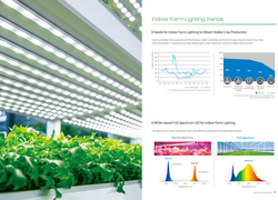 SPMWHD32AMH0-XAR0PR Samsung Bitki Led, Ekonomik Model, LM301H-EVO, 5000K, HORTICULTURE, 3V, 200mA, 3030 - Thumbnail